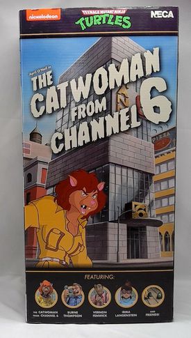 TMNT Catwoman From Channel 6 Newsroom 4Pck Teenage Mutant Ninja Turtles In Box