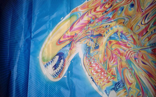 Aliens Psychedelic Color Fantasy Fabric Silk Poster Print Home Decoration B0229-