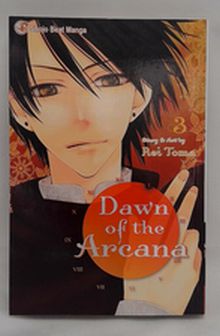 Dawn of the Arcana Vol 3 by Rei Toma