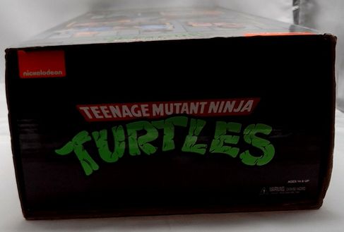 TMNT Catwoman From Channel 6 Newsroom 4Pck Teenage Mutant Ninja Turtles In Box