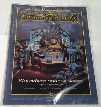 FR1 Waterdeep and the North Forgotten Realms Dungeons and Dragons TSR #9213
