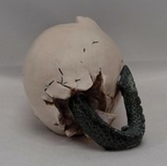 Red Eyes Baby Dragon Hatchling In Egg Statue Legends And Fantasy