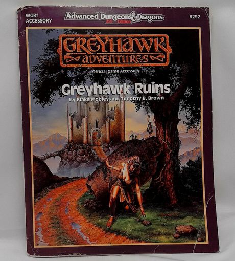 Advanced D&D 2nd Edition Greyhawk Adventures Greyhawk Ruins 1990 #9292