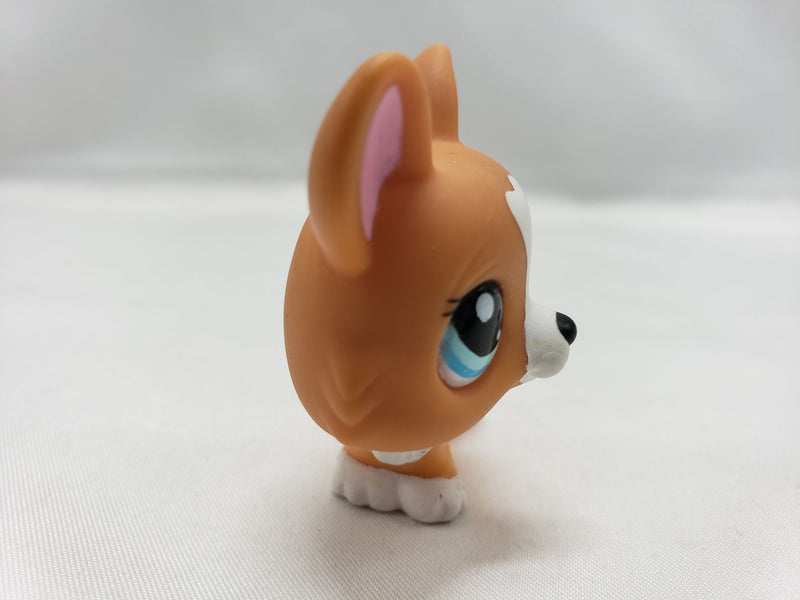 Load image into Gallery viewer, Littlest Pet Shop #1360 orange brown white corgi blue eyes
