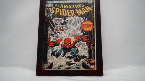 Marvel Comic Book Cover Canvas Wall Art 6.5" x 8.5" The AMAZING SPIDER-MAN