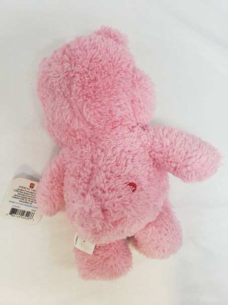 Care Bears Hopeful Heart Bear Plush Small 8